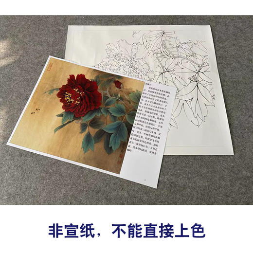 【有步骤、大彩图】李晓明工笔画白描底稿斗方小品《大宋紫》牡丹初学者临摹花鸟线稿KD11 商品图2
