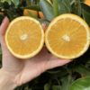 麻阳冰糖橙、汁多味甜，甜似冰糖而闻名全国、个头虽然不大，名气却很大！果肉入口脆嫩清爽，少籽化渣，汁多味浓 商品缩略图0
