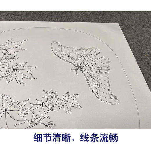 【有步骤、大彩图】李晓明工笔画白描底稿圆形小品《青枫巨蝶图》蝴蝶枫树初学者临摹花鸟线稿KC35 商品图4