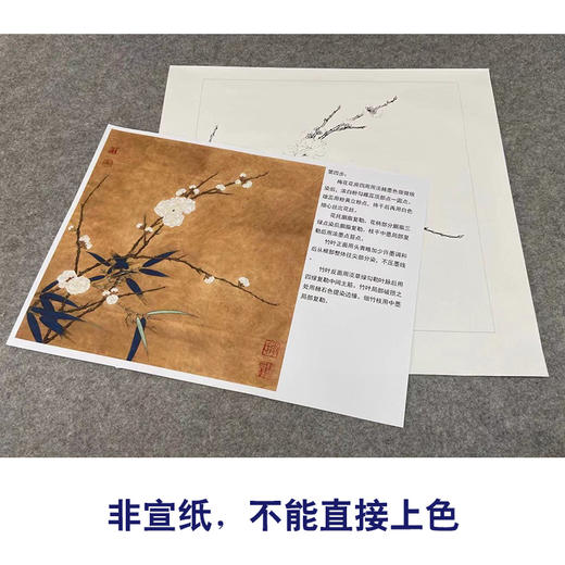 【有步骤、大彩图】李晓明工笔画白描底稿斗方小品《梅竹双友图》梅花初学者临摹花鸟线稿KC32 商品图2