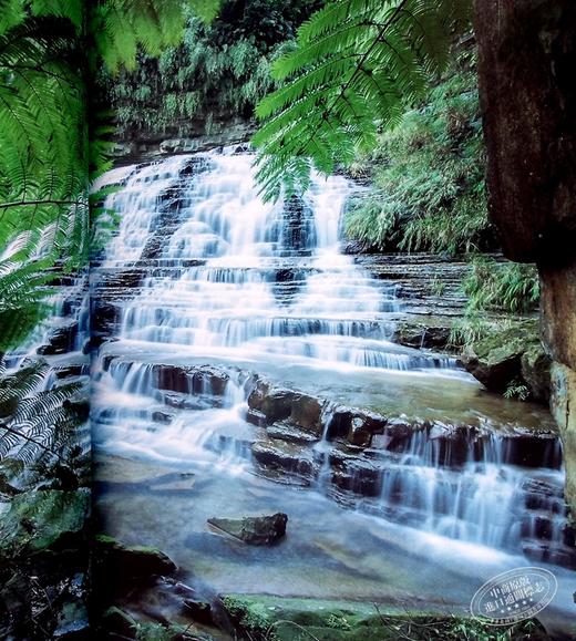 【中商原版】三好和义摄影写真集 日本的乐园岛 日文原版 日本の楽園島 商品图6