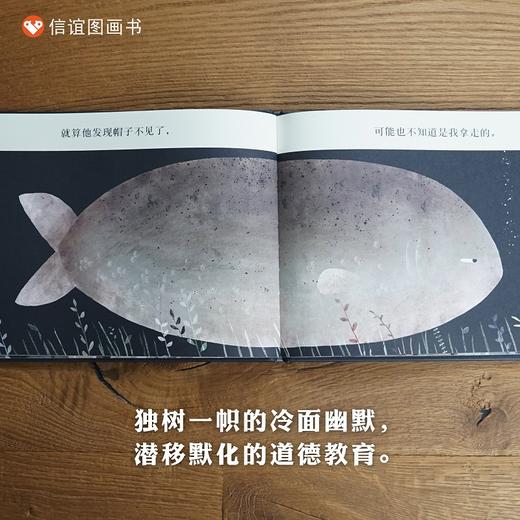 信谊乔恩克拉森系列9册套装：天上掉下一块大石头+帽子系列+形状系列+山姆和大卫去挖洞+狼鸭子和老鼠 商品图8