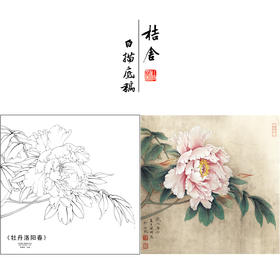 【有步骤、大彩图】李晓明工笔画白描底稿斗方小品《牡丹洛阳春》牡丹初学者临摹花鸟线稿KD14