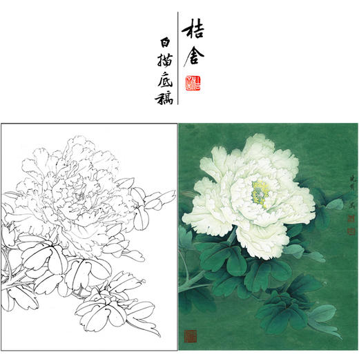 【有步骤、大彩图】李晓明工笔画白描底稿《牡丹图》初学者临摹花鸟线稿KD37 商品图0