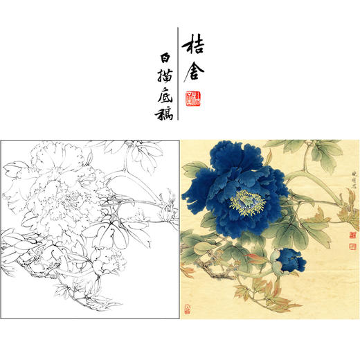 【有步骤、大彩图】李晓明工笔画白描底稿斗方小品《青龙卧墨池》牡丹初学者临摹花鸟线稿KD32 商品图0