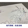 【有步骤、大彩图】李晓明工笔画白描底稿斗方小品《灿若云霞》牡丹蝴蝶初学者临摹花鸟线稿KD27 商品缩略图4