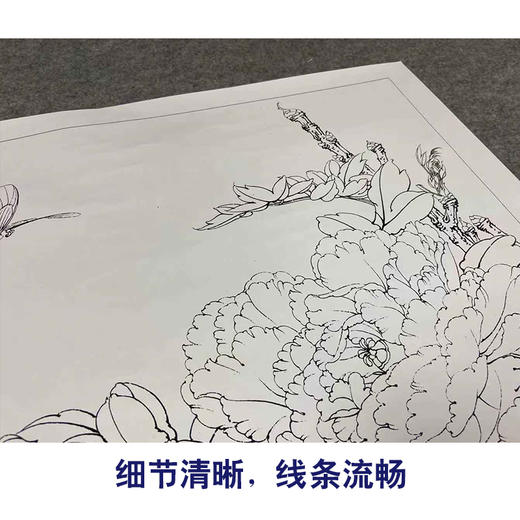 【有步骤、大彩图】李晓明工笔画白描底稿斗方小品《灿若云霞》牡丹蝴蝶初学者临摹花鸟线稿KD27 商品图4