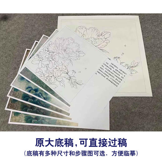 【有步骤、大彩图】李晓明工笔画白描底稿斗方小品《赛珠盘》牡丹初学者临摹花鸟线稿KD33 商品图1