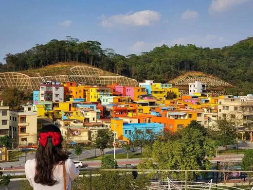 户外@江门紫花风铃+蒲葵林+彩虹村 1天 商品图6