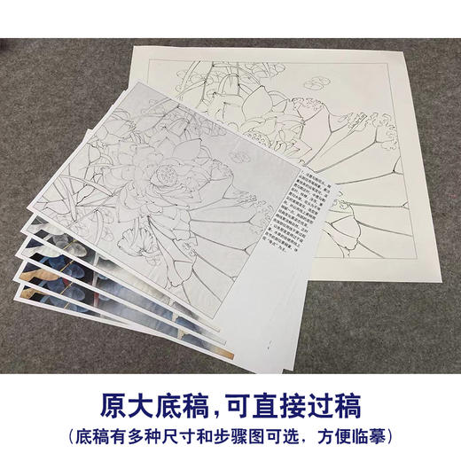【有步骤、大彩图】李晓明工笔画白描底稿小品《千瓣莲》荷花初学者临摹花鸟线稿KE13 商品图1