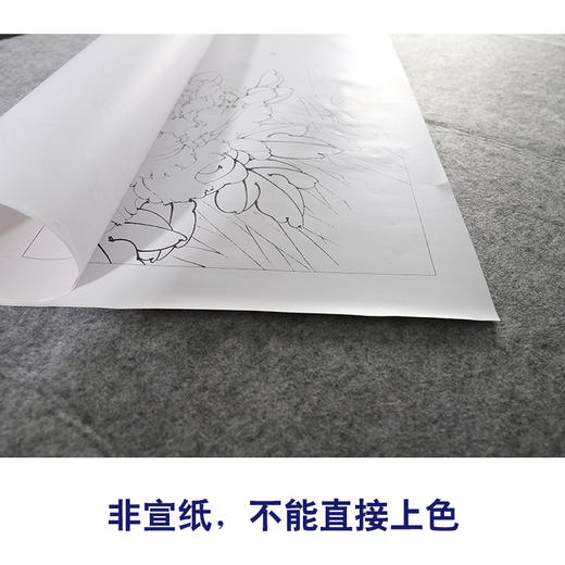 【有步骤、大彩图】李晓明工笔画白描底稿《相思瑶池春》牡丹相思鸟初学者临摹花鸟线稿KD20 商品图2