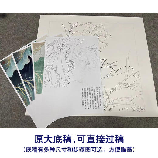 【有步骤、大彩图】李晓明工笔画白描底稿斗方小品《白荷亭亭》荷花蜜蜂初学者临摹花鸟线稿KE04 商品图1