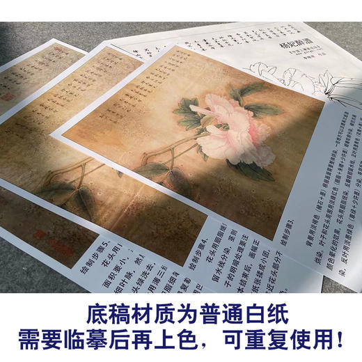 【有步骤、大彩图】李晓明工笔画白描底稿斗方小品《杨妃醉酒》牡丹初学者临摹花鸟线稿KD17 商品图3