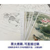 【有步骤、大彩图】李晓明工笔画白描底稿《荷塘鸳鸯图》荷花初学者临摹花鸟线稿KE02 商品缩略图1