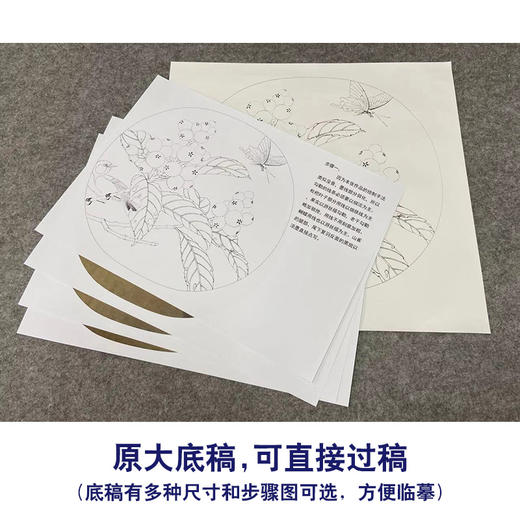 【有步骤、大彩图】李晓明工笔画白描底稿圆形小品《临宋枇杷山鸟图》枇杷蝴蝶初学者临摹花鸟线稿KC33 商品图1