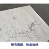 【有步骤、大彩图】李晓明工笔画白描底稿扇面小品《白蝶蓝田玉》牡丹蝴蝶初学者临摹花鸟线稿KD07 商品缩略图4