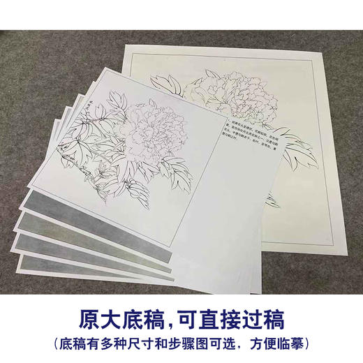 【有步骤、大彩图】李晓明工笔画白描底稿斗方小品《姚黄》牡丹初学者临摹花鸟线稿KD34 商品图1