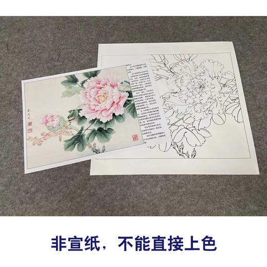 【有步骤、大彩图】李晓明工笔画白描底稿斗方小品《赵粉》牡丹初学者临摹花鸟线稿KD44 商品图2