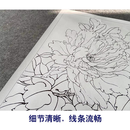 【有步骤、大彩图】李晓明工笔画白描底稿《二乔逢春》牡丹初学者临摹花鸟线稿KD12 商品图4