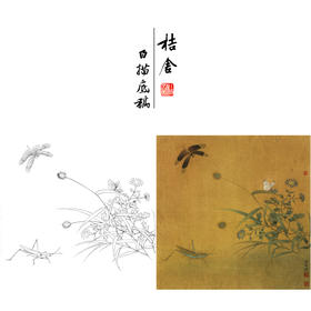 【有步骤、大彩图】李晓明工笔画白描底稿斗方小品《临宋写生草虫图》蜻蜓蚱蜢初学者临摹花鸟线稿KC37