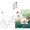 【有步骤、大彩图】李晓明工笔画白描底稿《荷花红蜻蜓图》初学者临摹花鸟线稿KE14 商品缩略图0