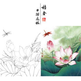 【有步骤、大彩图】李晓明工笔画白描底稿《荷花红蜻蜓图》初学者临摹花鸟线稿KE14