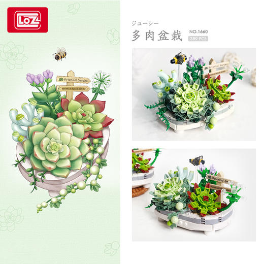 LOZ积木      1660   果肉盆栽 商品图2