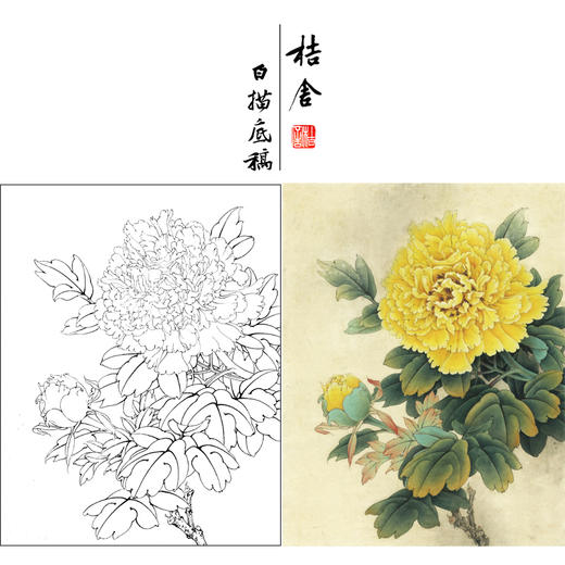 【有步骤、大彩图】李晓明工笔画白描底稿小品《花魁姚黄》牡丹初学者临摹花鸟线稿KD38 商品图0