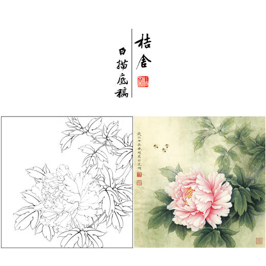 【有步骤、大彩图】李晓明工笔画白描底稿斗方小品《玉立春风》牡丹初学者临摹花鸟线稿KD16 商品图0