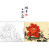 【有步骤、大彩图】李晓明工笔画白描底稿斗方小品《状元红》牡丹初学者临摹花鸟线稿KD45 商品缩略图0