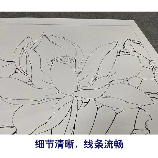 【有步骤、大彩图】李晓明工笔画白描底稿斗方小品《冷艳清华》荷花初学者临摹花鸟线稿KE06 商品图4