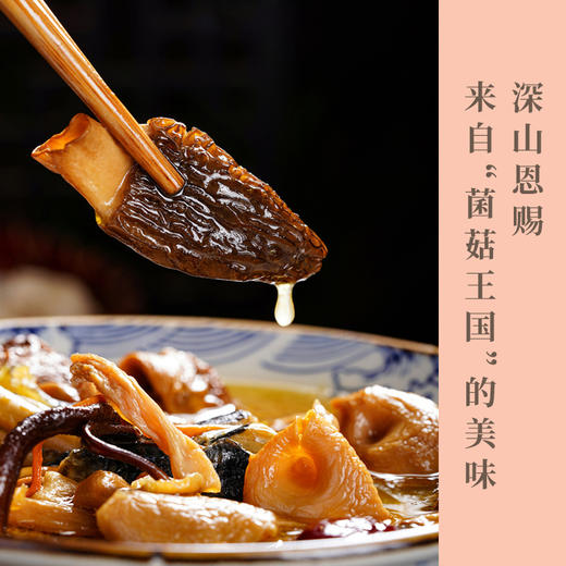 云南十珍菌汤煲  调配均衡  鲜香四溢    2袋起包邮 商品图0