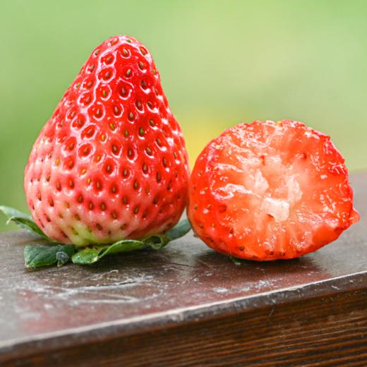 顺丰空运—攀枝花•露天冬草莓【有礼盒装】 商品图4