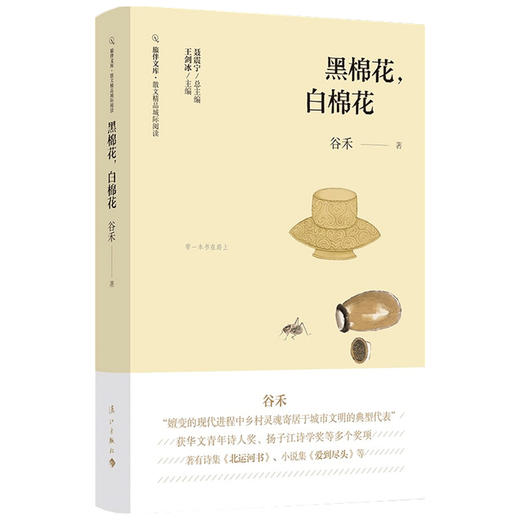 黑棉花 白棉花 谷禾 著 中国文学散杂文随笔集 一位“60后”的记忆 乡村生活和城市生活的缩影 商品图1