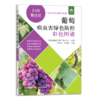 葡萄病虫害绿色防控彩色图谱（扫码看视频·病虫害绿色防控系列）【园艺学会】 商品缩略图1