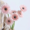 菊花-拉丝非洲菊-粉色-10枝/扎 商品缩略图1