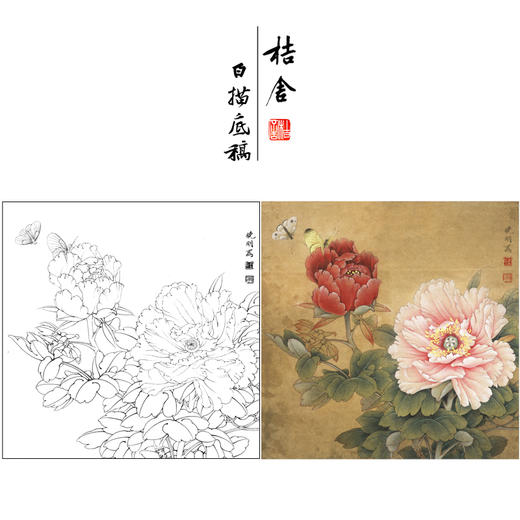 【有步骤、大彩图】李晓明工笔画白描底稿斗方小品《飞艳红妆》牡丹初学者临摹花鸟线稿KD28 商品图0