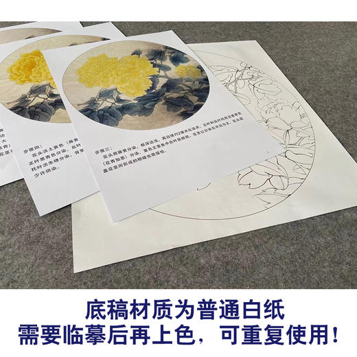 【有步骤、大彩图】李晓明工笔画白描底稿圆形小品《王者姚黄牡丹》牡丹初学者临摹花鸟线稿KD06 商品图3