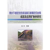 贵州下寒武统含多金属元素黑色页岩系成因及应用矿物学研究/张杰