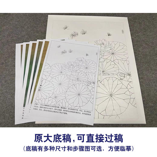 【有步骤、大彩图】李晓明工笔画白描底稿斗方小品《君子爱莲》荷花蝴蝶初学者临摹花鸟线稿KE12 商品图1