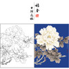 【有步骤、大彩图】李晓明工笔画白描底稿《羊脂白》牡丹花初学者临摹花鸟线稿KD42 商品缩略图0