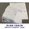 【有步骤、大彩图】李晓明工笔画白描底稿斗方小品《水上芙蓉》荷花初学者临摹花鸟线稿KE07 商品缩略图1
