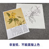 【有步骤、大彩图】李晓明工笔画白描底稿斗方小品《枇杷绣眼图》初学者临摹花鸟线稿KC34 商品缩略图2