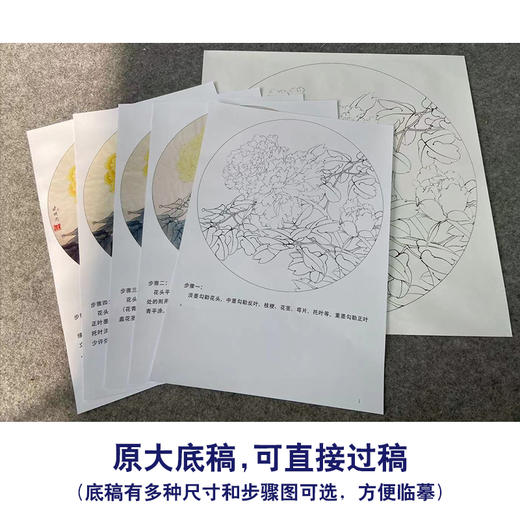 【有步骤、大彩图】李晓明工笔画白描底稿圆形小品《王者姚黄牡丹》牡丹初学者临摹花鸟线稿KD06 商品图1