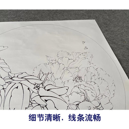 【有步骤、大彩图】李晓明工笔画白描底稿圆形小品《凤丹白》牡丹初学者临摹花鸟线稿KD05 商品图4