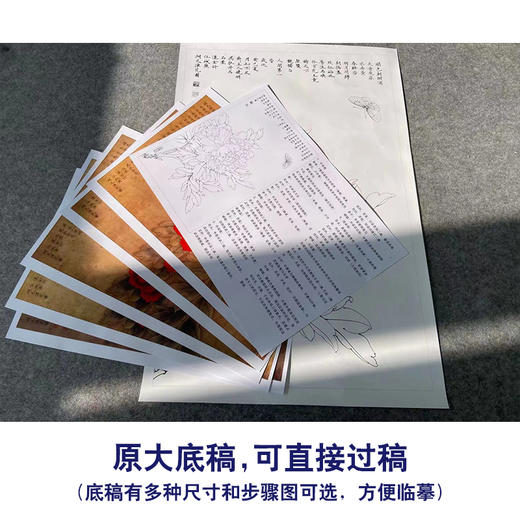 【有步骤、大彩图】李晓明工笔画白描底稿《王红白粉蝶》牡丹初学者临摹花鸟线稿KD18 商品图1