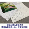 【有步骤、大彩图】李晓明工笔画白描底稿斗方小品《荷花》初学者临摹花鸟线稿KE11 商品缩略图3