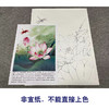 【有步骤、大彩图】李晓明工笔画白描底稿《荷花红蜻蜓图》初学者临摹花鸟线稿KE14 商品缩略图2