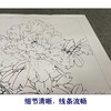 【有步骤、大彩图】李晓明工笔画白描底稿《羊脂白》牡丹花初学者临摹花鸟线稿KD42 商品缩略图4