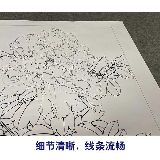 【有步骤、大彩图】李晓明工笔画白描底稿《羊脂白》牡丹花初学者临摹花鸟线稿KD42 商品图4